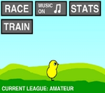 Duck Life game